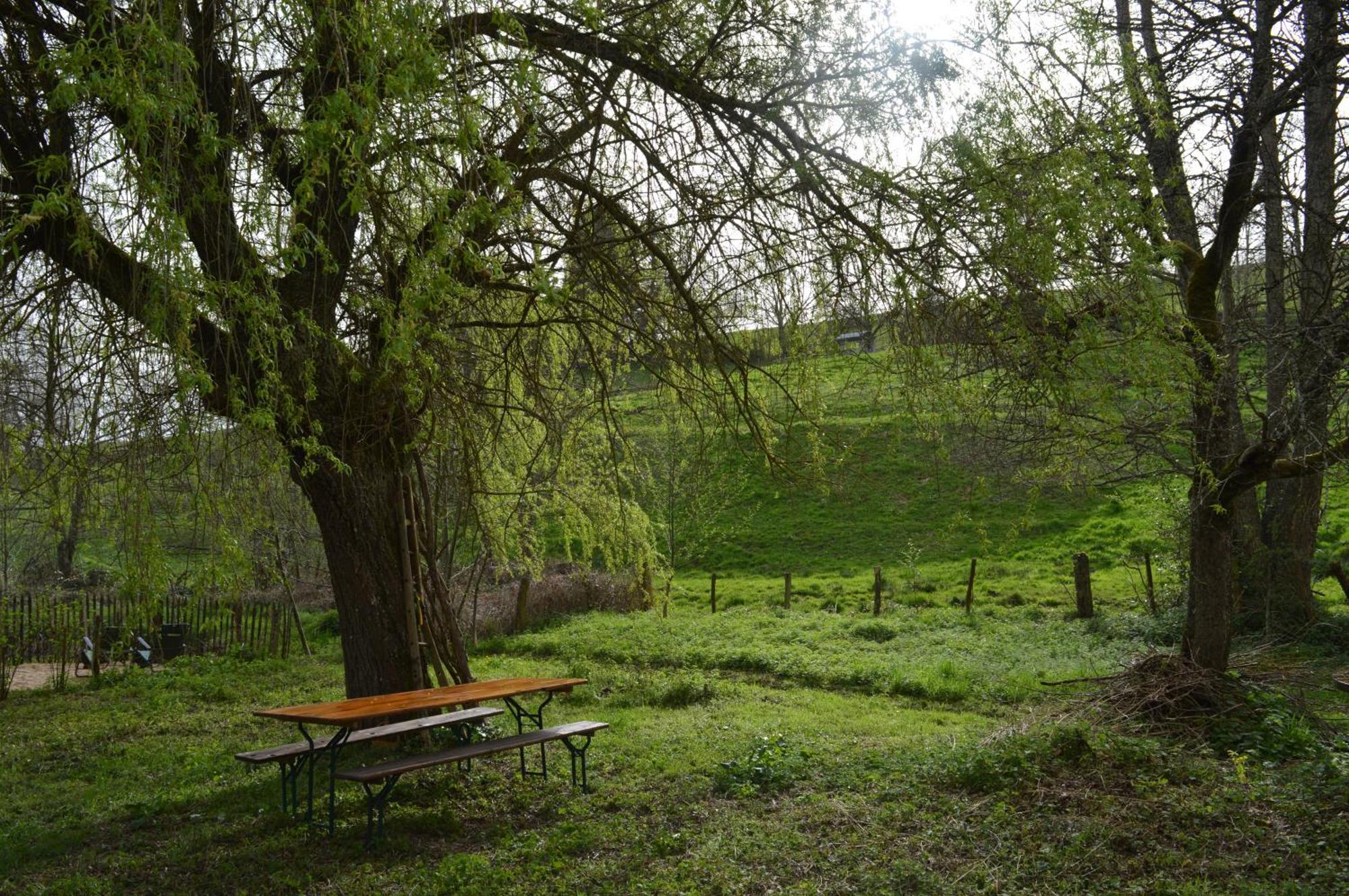 Villa La Fabrique Du Roncon à Saint-Bonnet-le-Troncy Extérieur photo